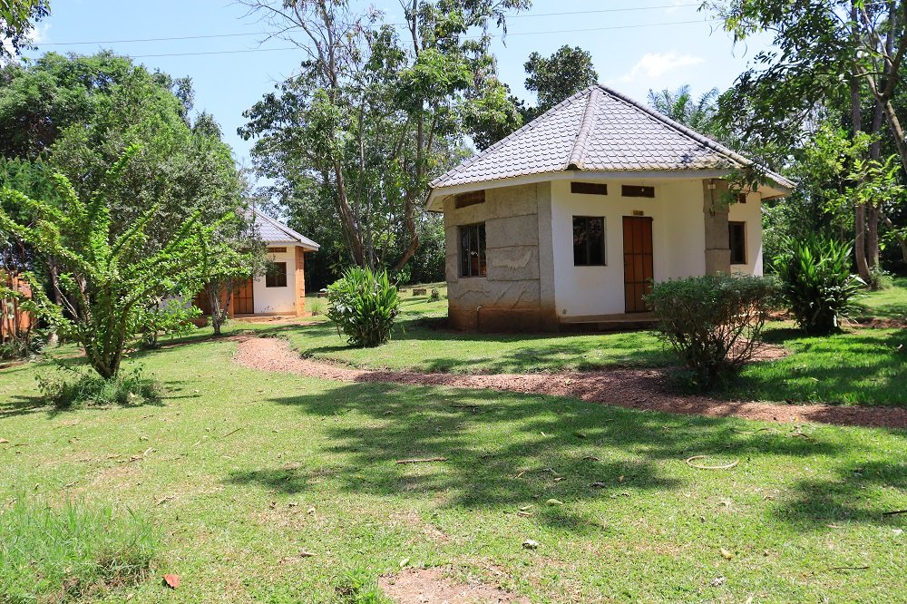 Community engagement